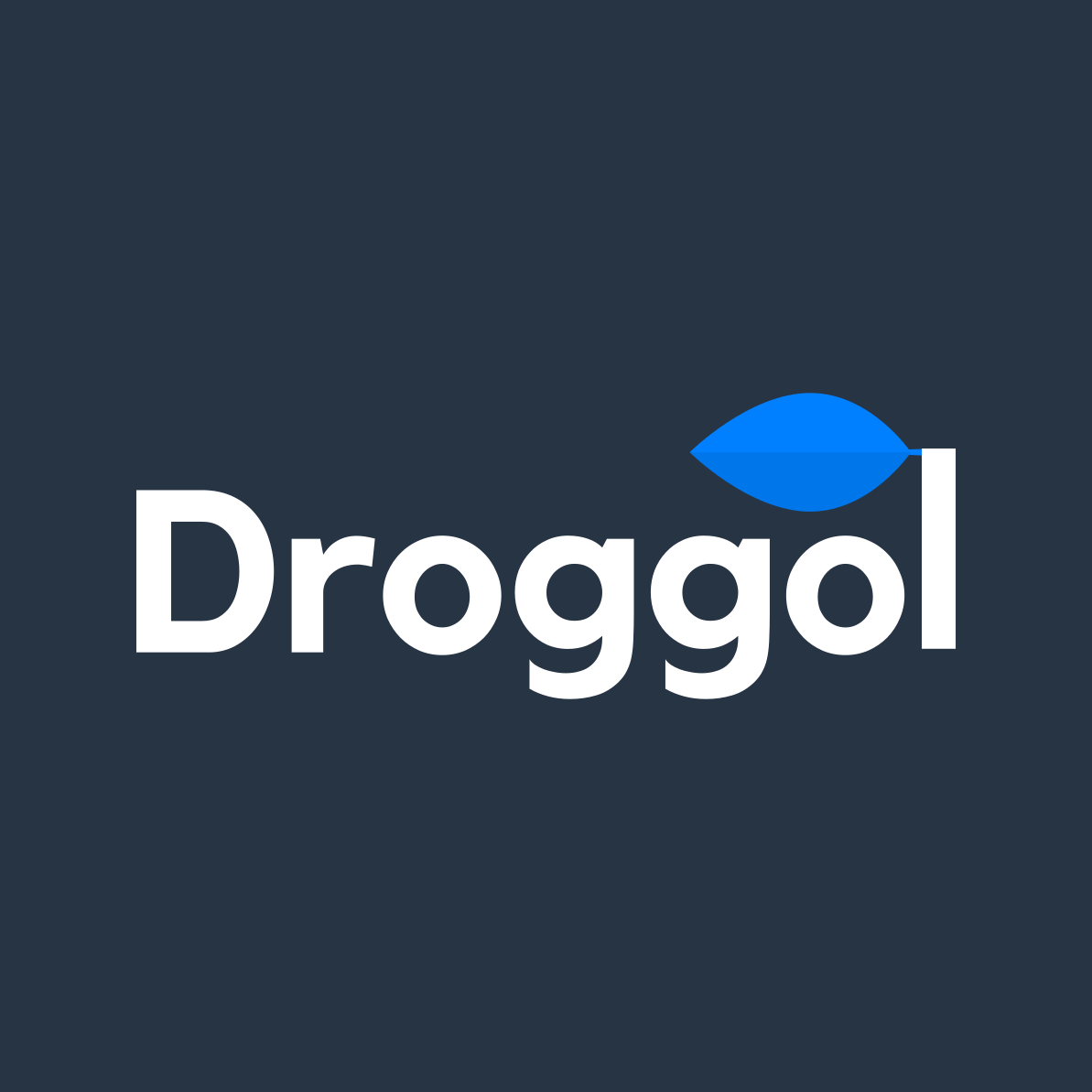 Droggol Theme Common