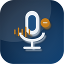 Voice Notes